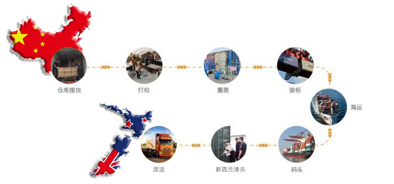 中国到新西兰海运流程